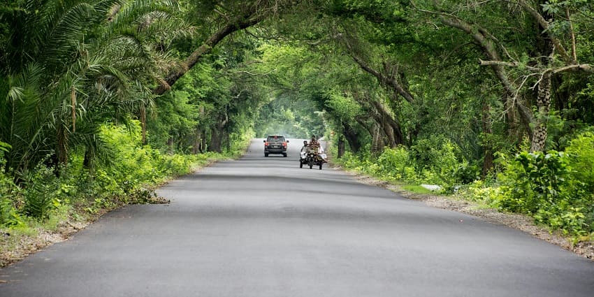 A picture of Birla Industrial & Technological Museum is flanked on either side by greenery.