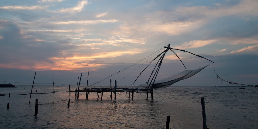 Kayaking in Kochi offers incredible experiences for visitors in its calm waters.