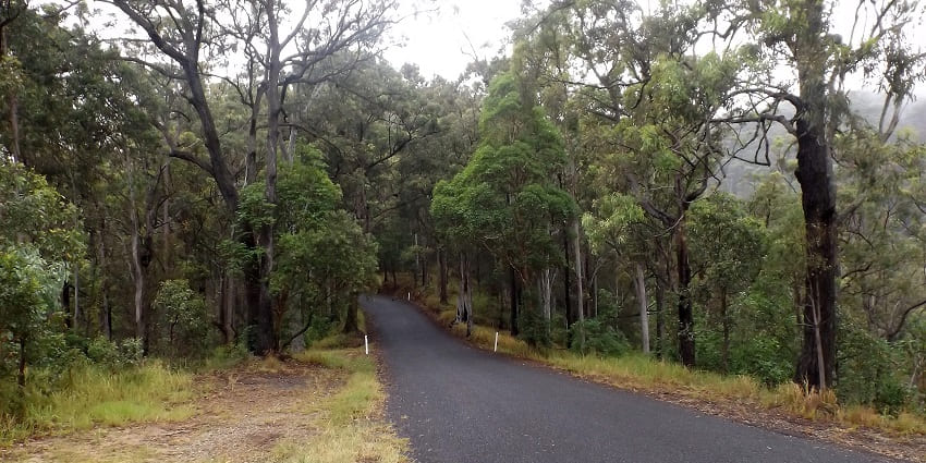Beautiful Road leading to Springbrook National Park in Australia
