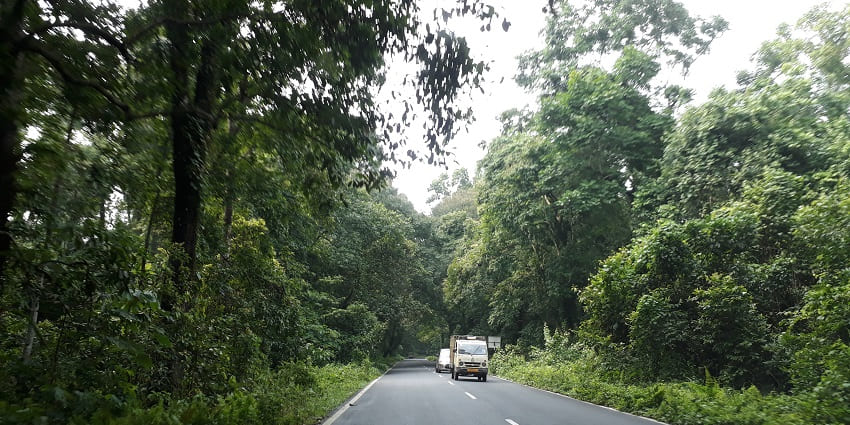 An image of the National Highway 31 road beside the Gorumara National Park.