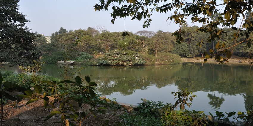 The pond amidst greenery in Alipore Zoo in Kolkata in West Bengal