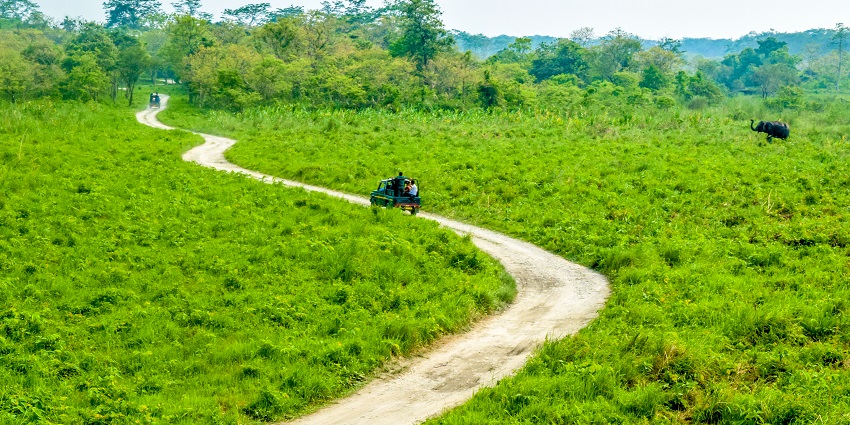 Tourists going on a jungle safari expedition at the Jaldapara National Park.