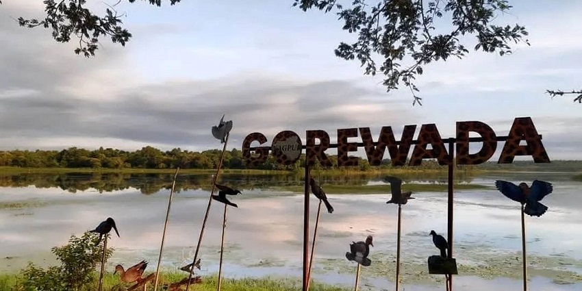 A picture of a riverside in Gorewada with birds resting around