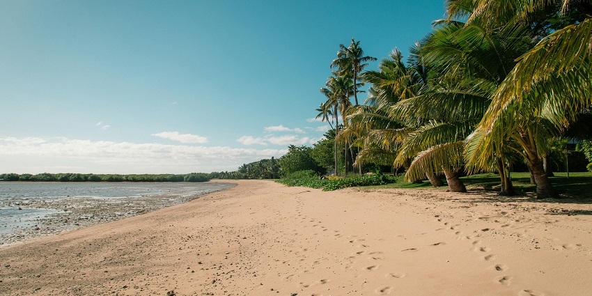 An image of a beach surrounded by palm trees similar to the Humboldt Park Beach in Chicago.