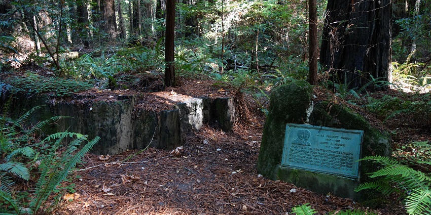 An image of Humboldt Redwoods State Park, amongst the best places near Redwood National Park.