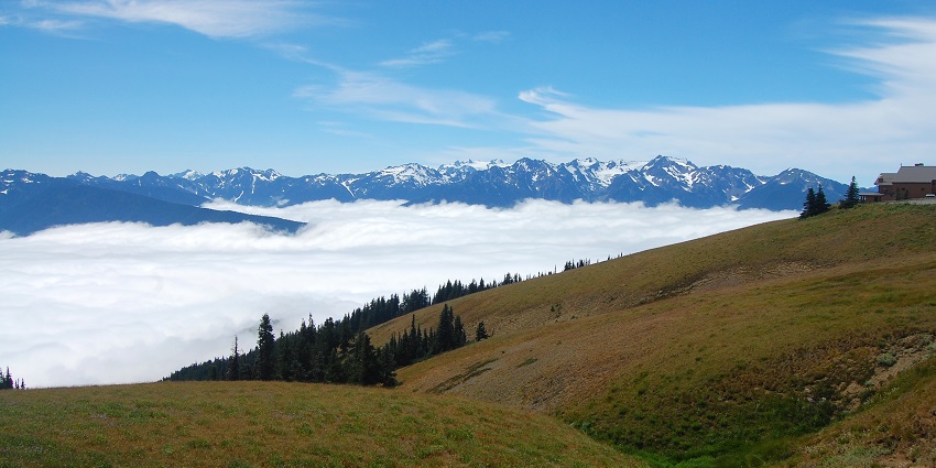 An image of Hurricane Ridge offers stunning panoramic views of mountains and valleys in Olympic Park.