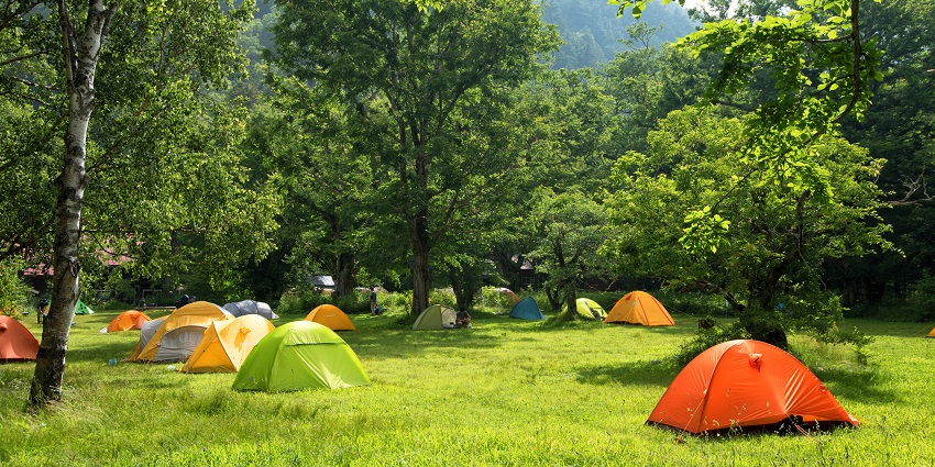 Cozy camping sites in France nestled in a forest, ideal for outdoor lovers.