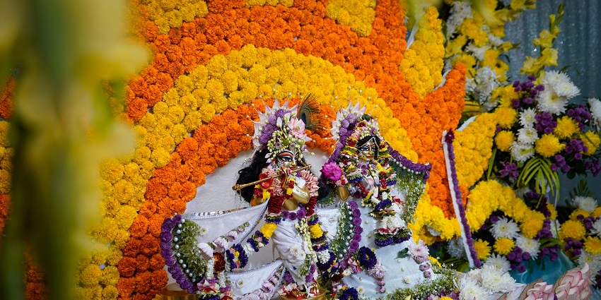 An image of Radha Krishna in a temple similar to one of the popular ISKCON temples in USA