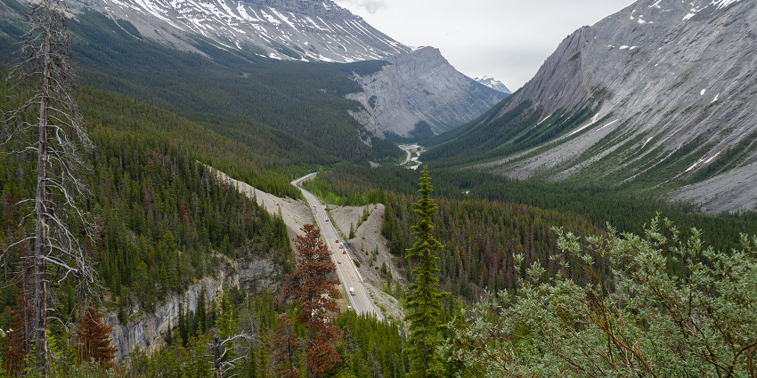 View of Icefields Parkway from Parker Ridge, the best place near Banff National Park.