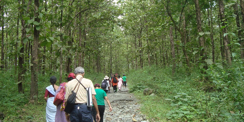 A picture of many visitors on the path winding through dense forest leads to Buxa Fort.