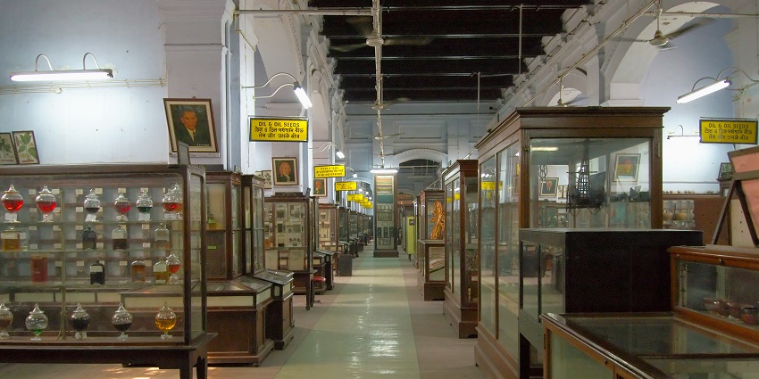A view of ancient artefacts showcasing India's rich cultural heritage at Art museum Kolkata