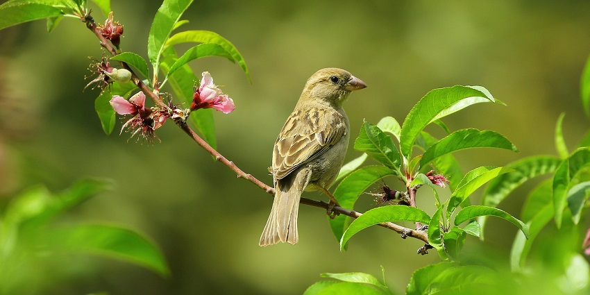 An image capturing birdwatchers observing wildlife.