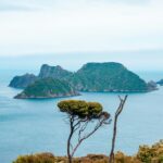 Image of Stewart Island - The beautiful northern part of Lake Wanaka, an island near New Zealand