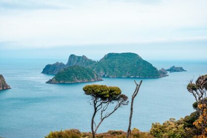 Image of Stewart Island - The beautiful northern part of Lake Wanaka, an island near New Zealand