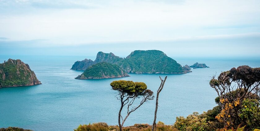 Image of Stewart Island - The beautiful northern part of Lake Wanaka, an island near New Zealand