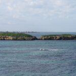 A scenic view of one of the islands in Australia.