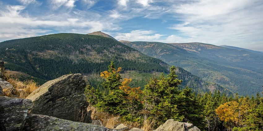 Protected area with diverse wildlife, trails, and natural beauty.