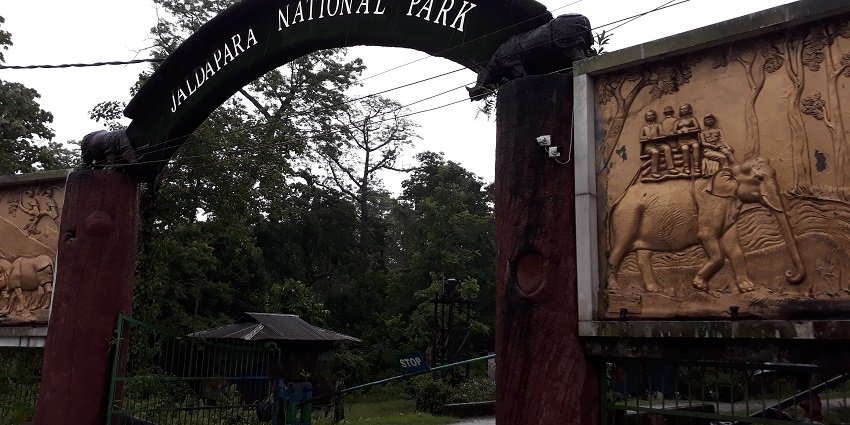 View of Jaldapara Wildlife Sanctuary, showcasing the beauty near the Buxa Fort area.