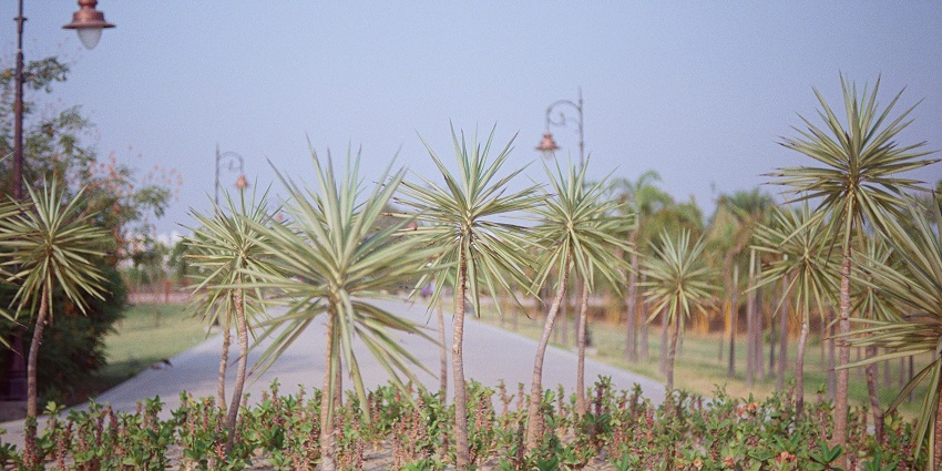 An image of the expansive Janeshwar Mishra Park, the best places to visit in Lucknow.
