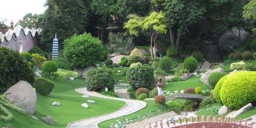 An image of a Japanese Garden in Kanpur with a water stream, including trees.