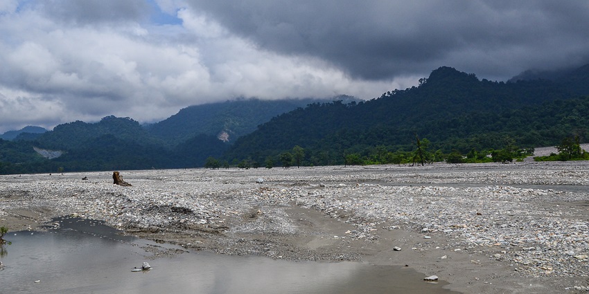 An image view of the visitor's bird watching in Jayanti near Jaldapara jungle safari