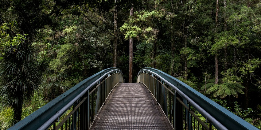 The stunning views of the bridge of Jhalong near the national park, West Bengal.