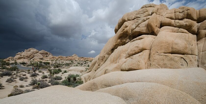 A view of the huge rocky mountain at the Joshua Tree National Park in California.