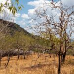 Image of Majestic view of Kakadu National Park - surrounded by lush greenery