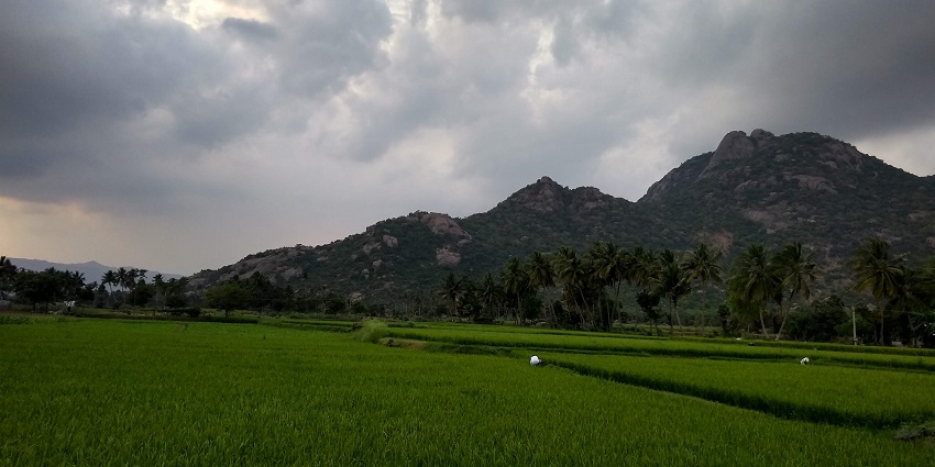 Panoramic views of the beautiful Kalrayan Hills which is one of the best offbeat hill stations in Tamil Nadu