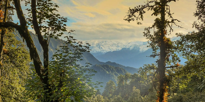 Picturesque village with dense forests and outdoor adventure opportunities.