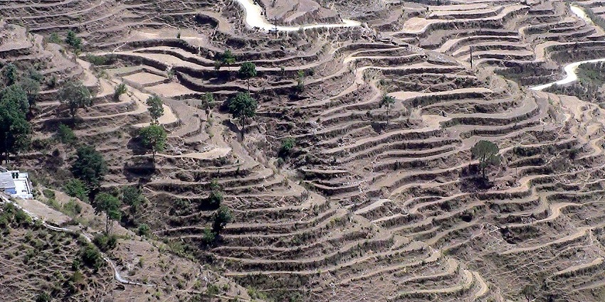 Terraced fields in the beautiful Kanda near the Bagnath Temple.