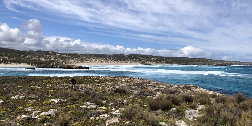 Kangaroo Island’s natural beauty is the most unique among islands in Australia