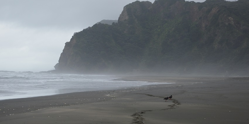 Karekare Beach near Auckland is just 50 minutes away from central Auckland.