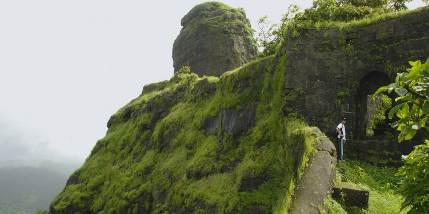 A view of Karnala Fort, featuring flora on one of the famous trekking in Kanifnath routes.