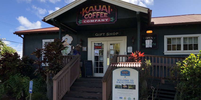 An image of coffee plants in Kauai Coffee Company in Hawaii.