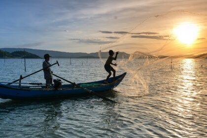 Kayaking in Kochi is a memorable experience for nature lovers and adventurers alike.