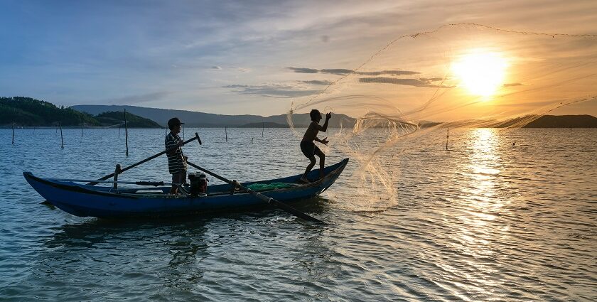 Kayaking in Kochi is a memorable experience for nature lovers and adventurers alike.