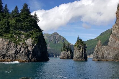 An image of Kenai Fjords National Park features stunning glaciers, wildlife, and coastal beauty