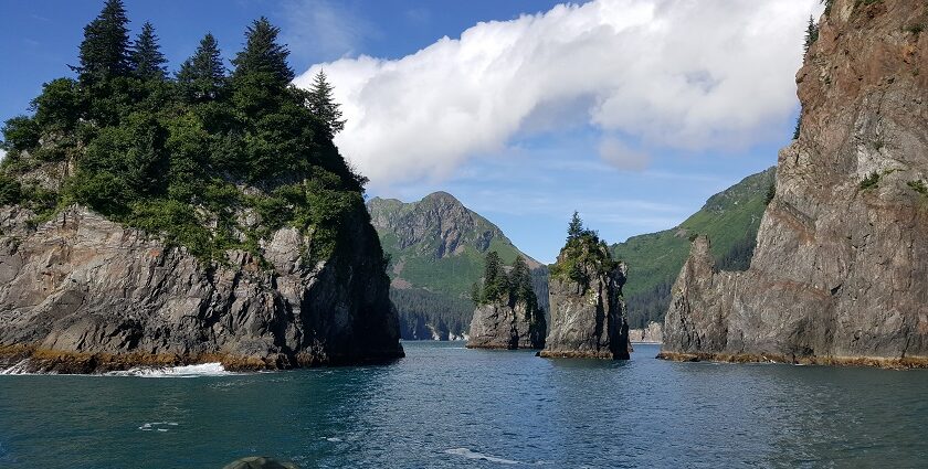 An image of Kenai Fjords National Park features stunning glaciers, wildlife, and coastal beauty