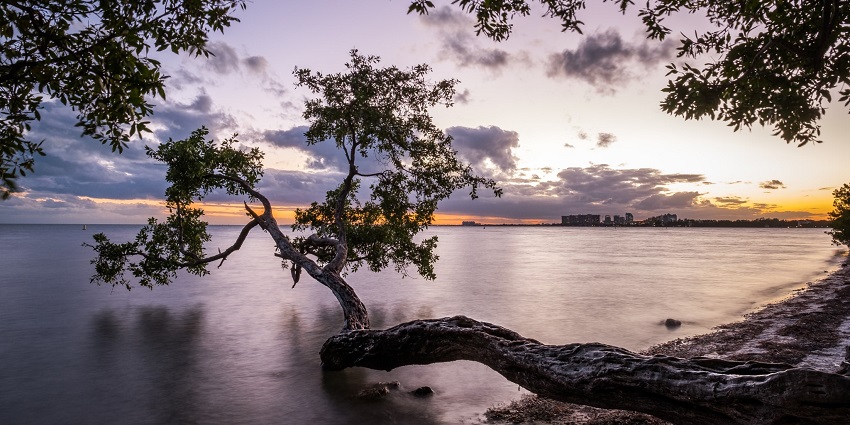 An image of Key Biscayne, perfect for outdoor adventures on Valentine's Day in Miami