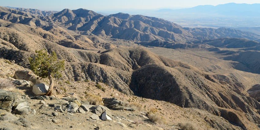 Scenic view from Keys View in Joshua Tree National Park, overlooking the Coachella Valley.