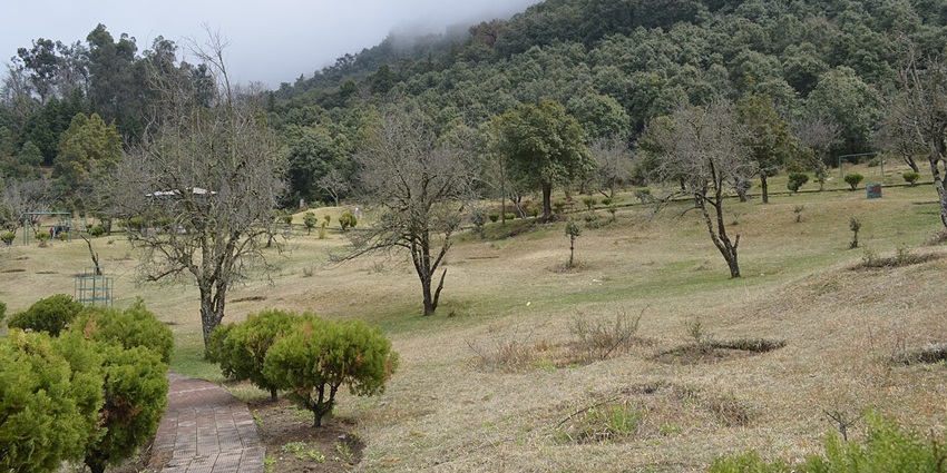 Khirsu Park with pine trees and open green space in Pauri Garhwal, Uttarakhand, one of the best hill stations near Vrindavan.