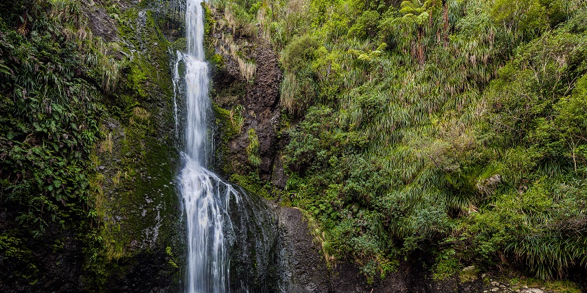 Kitekite Falls offers lush tiers and a pool, making it a favorite near Auckland.