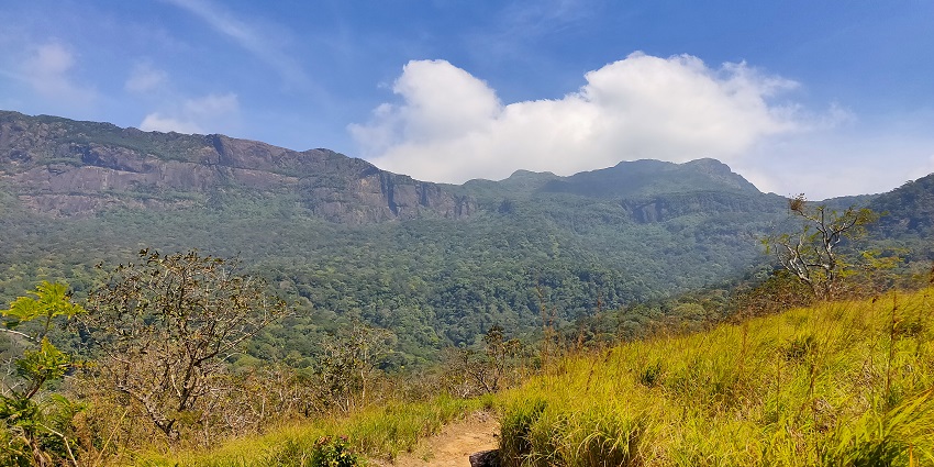A panoramic view from Kolukkumalai, a popular trek from Kurangani Hills trekking.