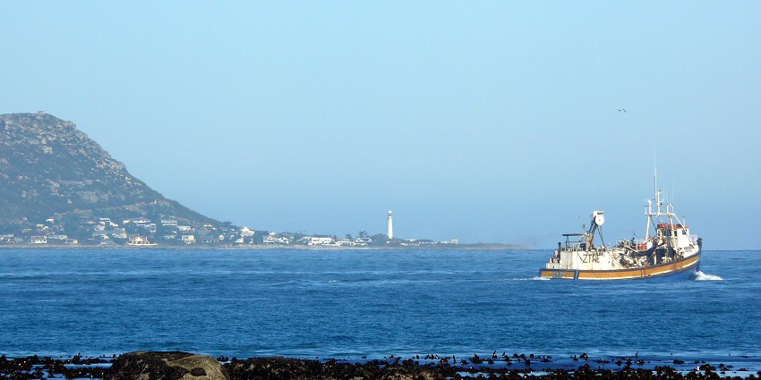Experience the tranquil vibes at Kommetjie, a paradise in Cape Town, South Africa.