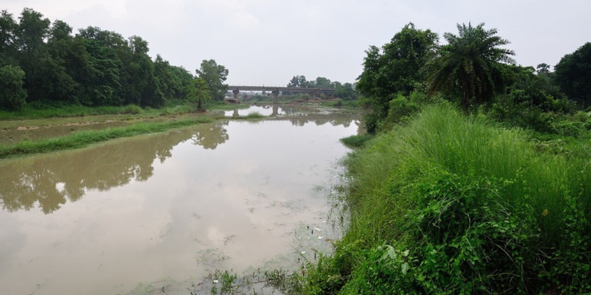 Calm river Kopai flowing by lush green bank near Ballavpur, Birbhum, West Bengal