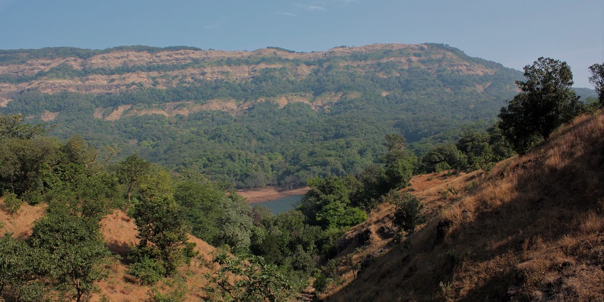 An image of the Koyna Wildlife Sanctuary with scenic views of the hills and forest.