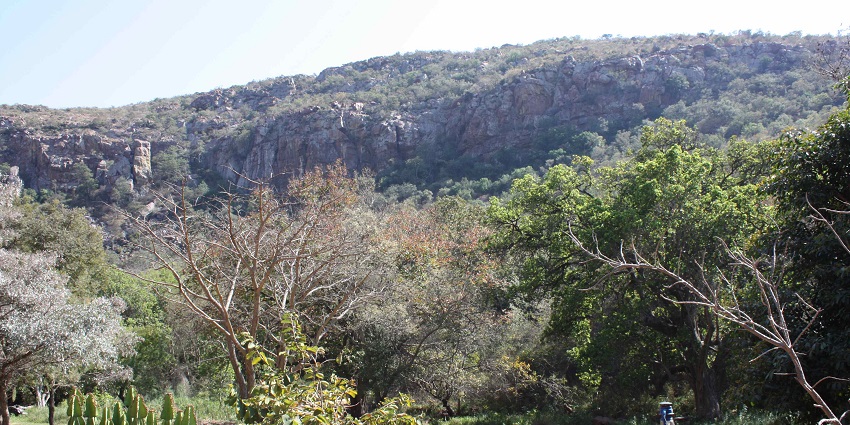 The view from Bush Lodge, a top place to visit near Pilanesberg National Park