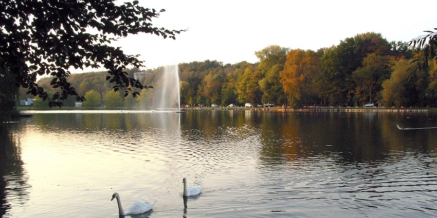 Tranquil Lake is surrounded by nature, ideal for relaxing and exploring.