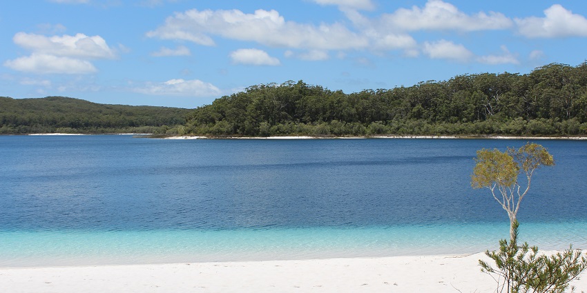 A glimpse of serene Lake McKenzie - one of the most visited places on Fraser Island.